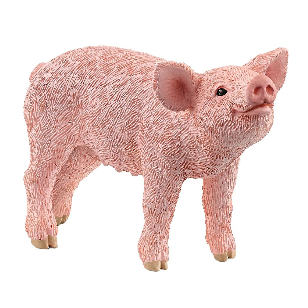Schleich 13934 Farm World - Big