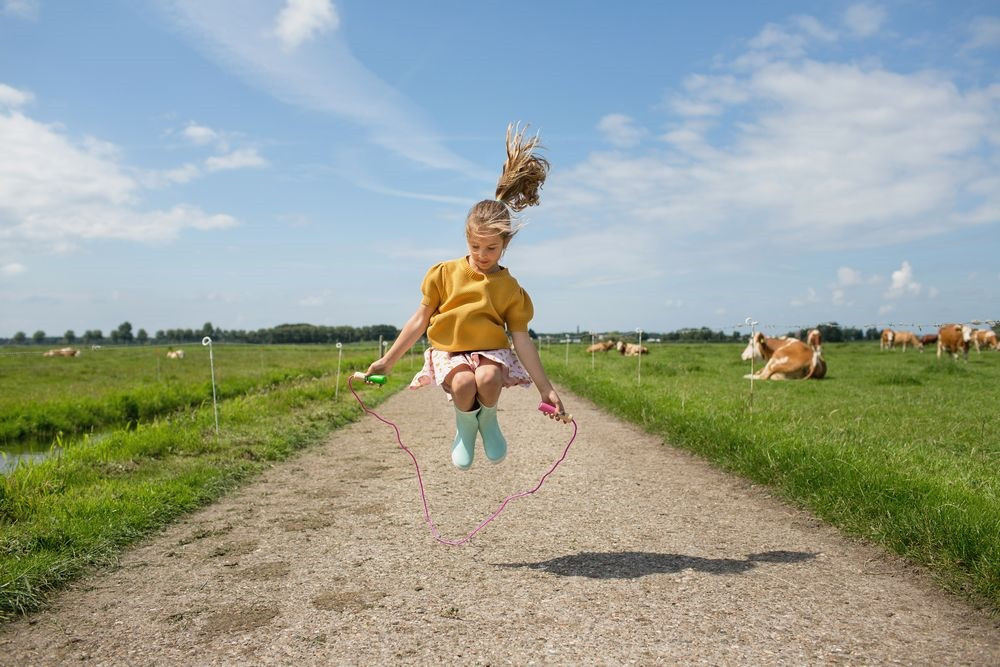 BS Toys Springtouw - Roze - 2 Meter